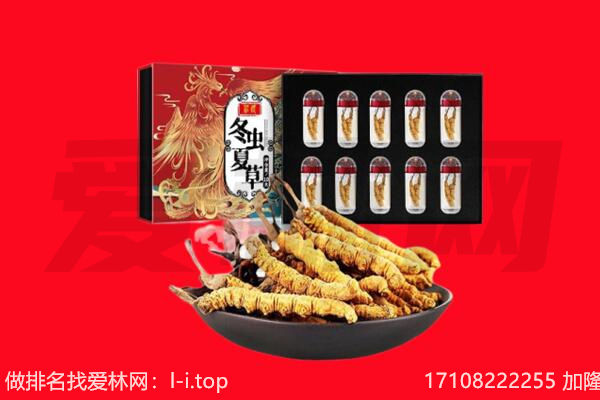 赤峰市敖汉回收虫草.jpg